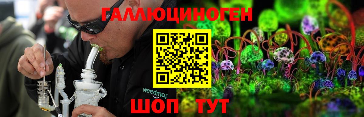 Галлюциногенные грибы Psilocybe  Вход с VPN  купить наркотики сайты  Псилоцибиновые грибы прущие грибы  Добрянка 