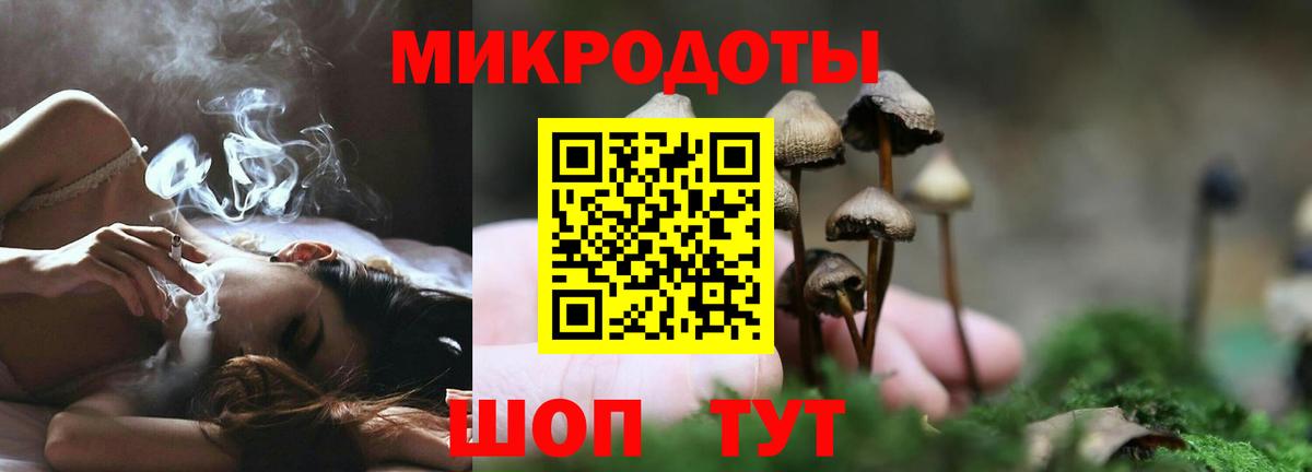 Псилоцибиновые грибы Psilocybe Добрянка